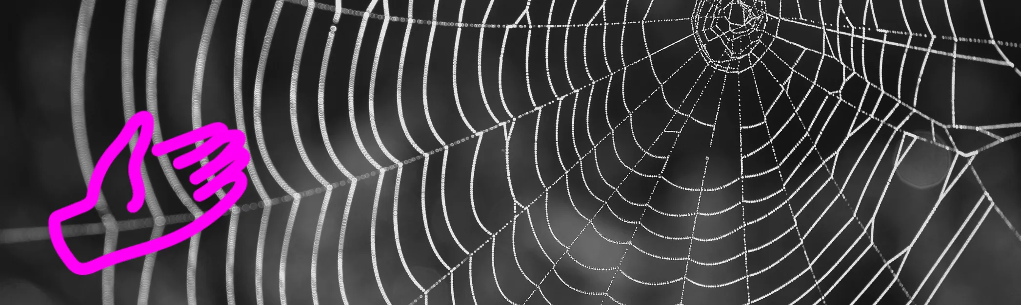 spider web - lead generation through partnerships